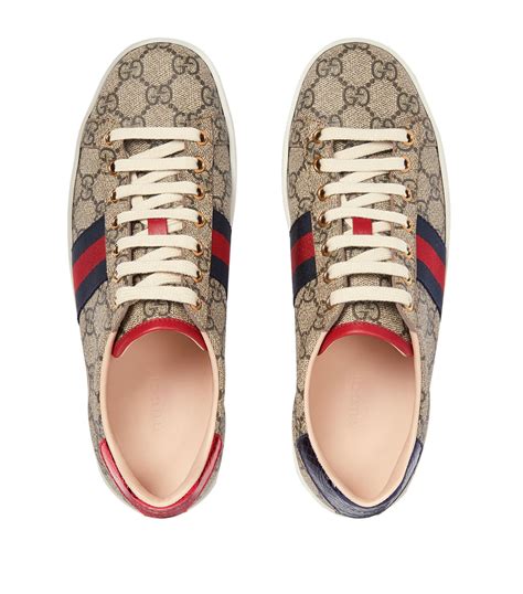 gucci ace gg supreme sneaker|gucci ace sneakers price increase.